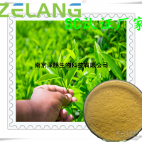 绿茶提取物，绿茶浓缩粉，ISO22000食品安全认证