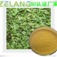 小茴香压片代加工，小茴香提取物