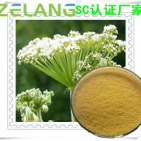 代加工白芷提取物压片