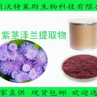 紫茎泽兰提取物 紫茎泽兰浓缩液  紫茎泽兰粉
