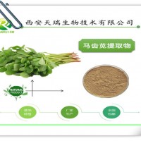 马齿苋提取物10:1 天瑞生物厂家供应