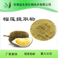 榴莲果粉 浓缩榴莲粉 甘肃益生祥生物