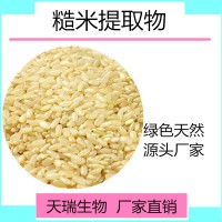 糙米提取物 糙米粉天瑞生物果蔬粉厂家现货