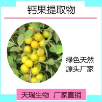 钙果提取物10:1全水溶水果粉