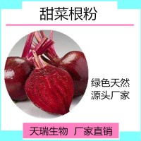 甜菜根粉 甜菜根浓缩汁粉天瑞生物厂家