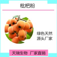 枇杷速溶粉 枇杷果汁粉全水溶饮料原料