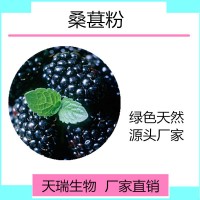 桑葚果粉 桑葚速溶粉全水溶水果粉天瑞生物厂家现货