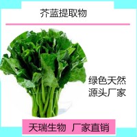 芥蓝提取物 芥蓝粉天瑞生物厂家