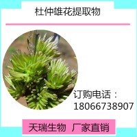 杜仲雄花提取物10:1厂家