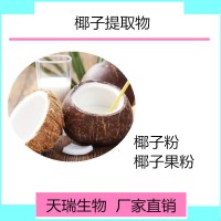 椰子速溶粉 椰子浓缩粉饮料原料