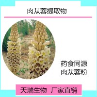 肉苁蓉提取物 肉苁蓉浓缩粉 水溶性好 药食同源天瑞生物厂家