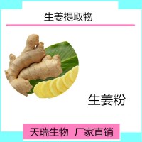 生姜提取物 生姜粉天瑞生物厂家