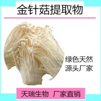 金针菇提取物 金针菇喷雾干燥粉天瑞生物厂家