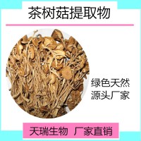 茶树菇粉10:1 茶树菇速溶粉天瑞生物厂家