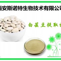 白芸豆提取物 20:1 含菜豆素 斯诺特 包邮