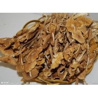 代加工茶树菇提取物，茶树菇固体饮料ODM，江苏生产厂家