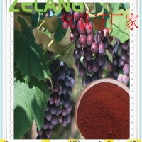 葡萄皮提取物，白藜芦醇Trans-Resveratrol