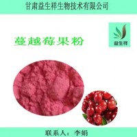 蔓越莓果汁粉   甘肃益生祥 蔓越莓粉