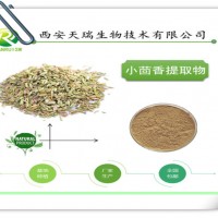 小茴香提取物的供应