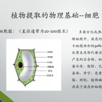 脱氧熊果苷98% DeoxyArbutin