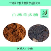 白桦茸多糖50% 白桦茸提取物        量大从优