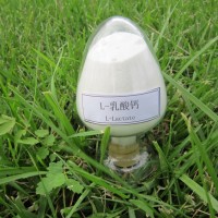 郑州瑞普食品级L乳酸钙生产厂家
