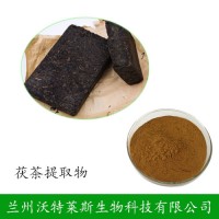 茯茶提取物比例  可定制  茯茶粉