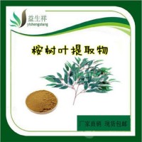 桉树叶提取物 10:1 桉树叶提取物  厂家现货直销