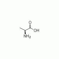 L-丙氨酸