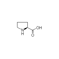 L-脯氨酸 L-脯氨酸的作用