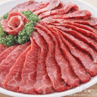 嫩肉粉  食品级嫩肉粉   嫩肉粉价格   嫩肉粉生产厂家