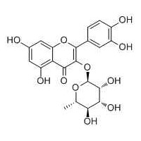 槲皮苷 槲皮苷98%