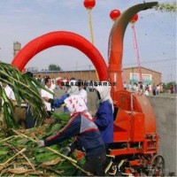 鲜玉米秸秆铡草机厂家 稻草铡草机型号