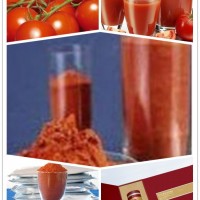 番茄红素的作用_番茄红素的副作用_番茄红素软胶囊