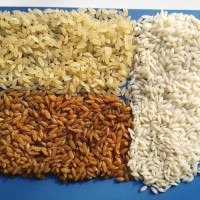盛润机械人造大米生产设备厂家