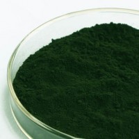 叶绿素铜钠价格 食品级叶绿素铜钠 天然叶绿素铜钠