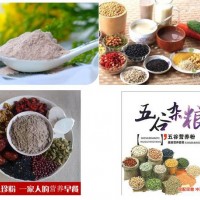 健胃糙米粉生产设备