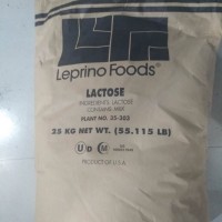 食品级乳糖100目 200目 Leprino乳糖