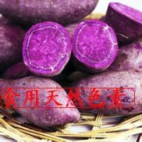 食品级紫甘薯色素 食用紫甘薯色素