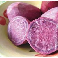 紫甘薯红色素生产厂家    食品级紫甘薯红色素厂家
