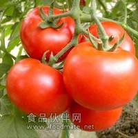 番茄红素生产厂家 番茄红素厂家 食品级番茄红素价格