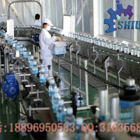 瓶装水生产线 纯净水生产设备