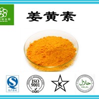姜黄素95%98% 姜黄浓缩粉 工厂现货直销 姜黄提取物