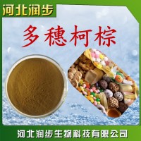 食用多穗柯棕品牌原料直销