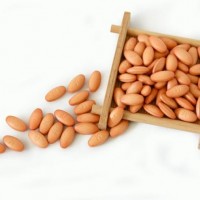 现货天然胡萝卜 类胡萝卜素主要成份为β-胡萝卜素