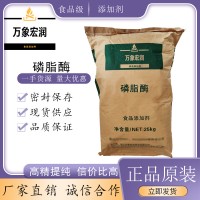 磷脂酶加工厂家 磷脂酶批发商