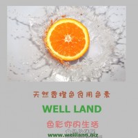 食品添加剂色素 威伦WELL LAND