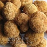 猴头菇清洗机 食用菌清洗机