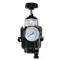 TS300NS1 Air Filter Regulator