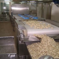 生产五谷杂粮微波熟化机的厂家